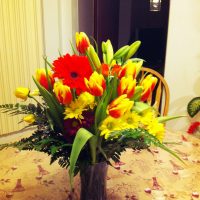 Tulips, Gerbera Daisy, Green, Mother's Day