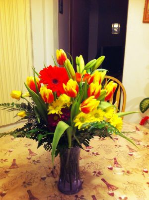 Tulips, Gerbera Daisy, Green, Mother's Day